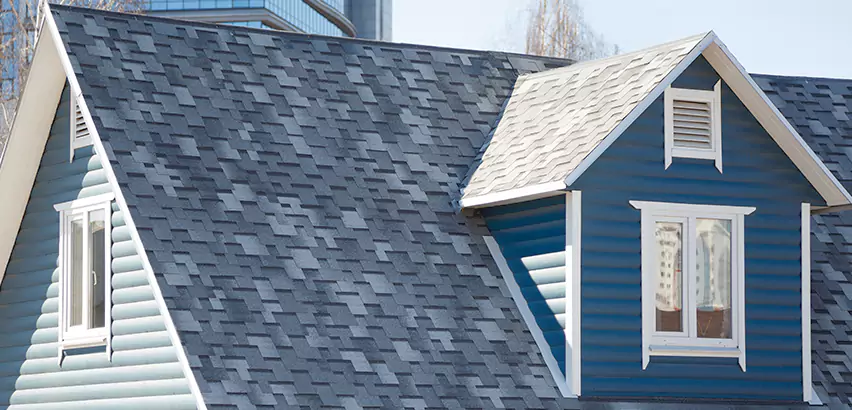 Shingle Roof Maintenance in McHenry