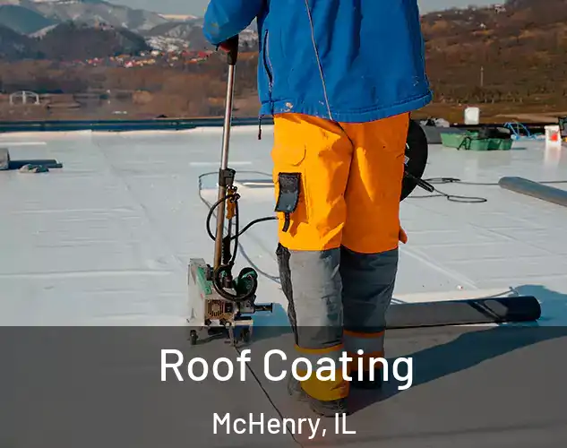  Roof Coating McHenry, IL