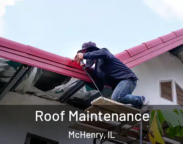  Roof Maintenance McHenry, IL